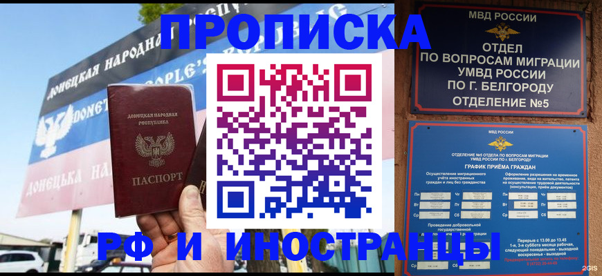 временная регистрация 2025 в Павловске